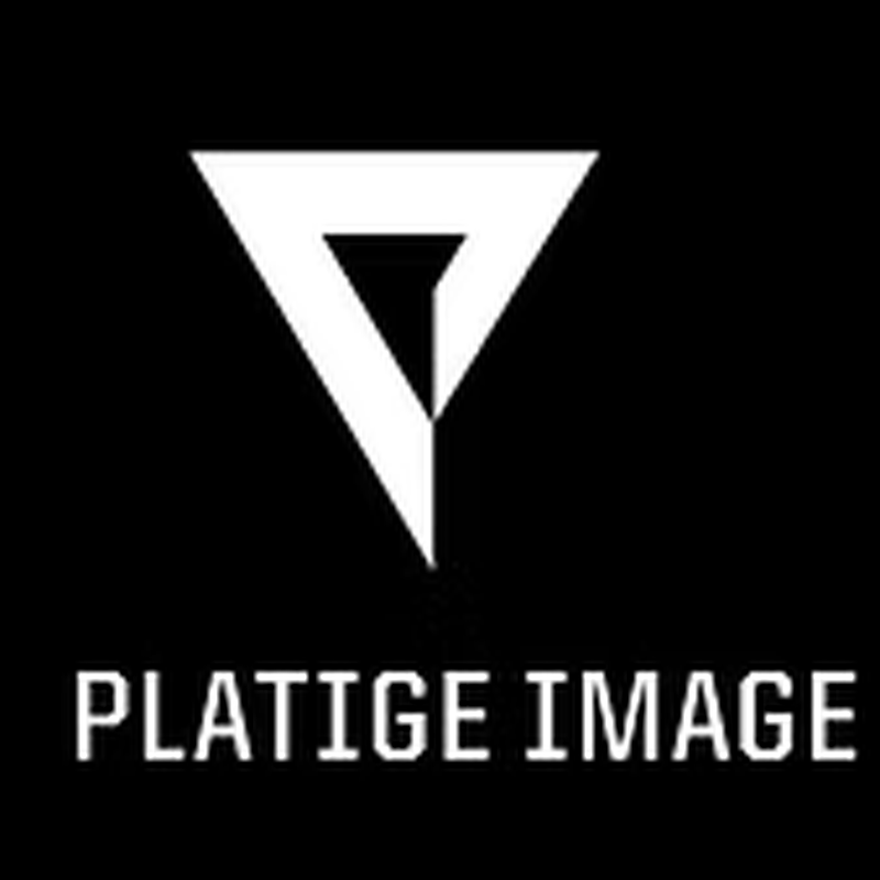 Platige Image logo