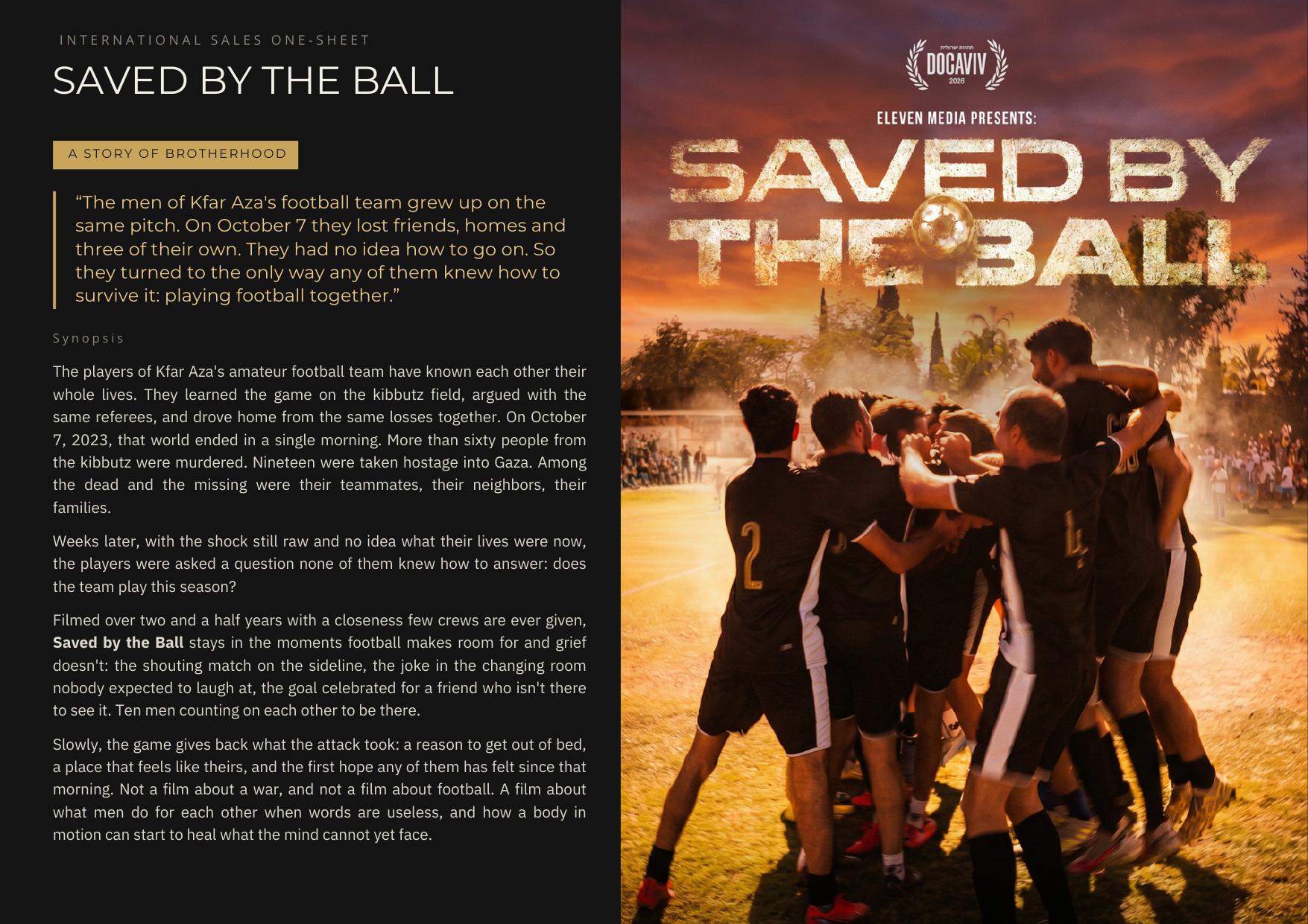 Saved by the Ball sales one-sheet cover